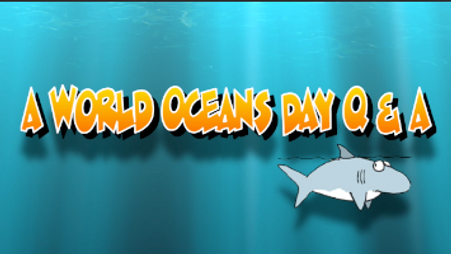 MERR World Oceans Day 2020